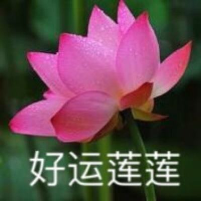 孙金龙 黄润秋：培育发展绿色生产力 全面推进美丽中国建设